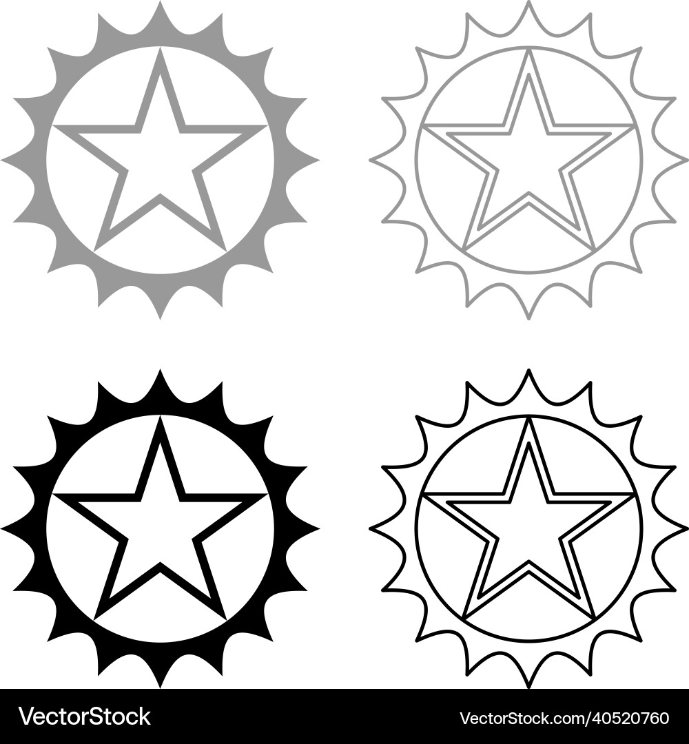 Star in circle with sharp edges set icon grey vector image