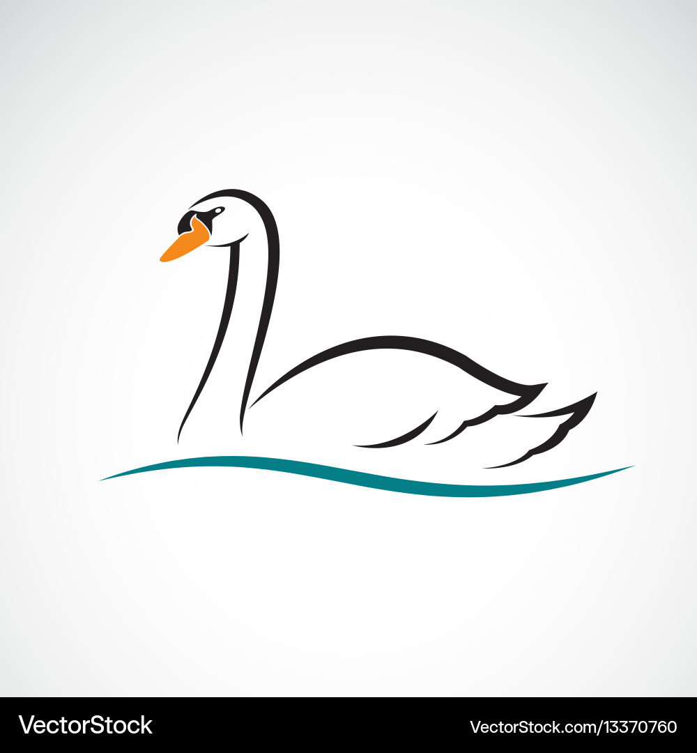 Swan auf weißem Hintergrund wild Tiere Swan auf weißem Hintergrund wild Tiere vektorbild