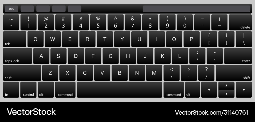 Laptop Keyboard Close-Up Vector Image