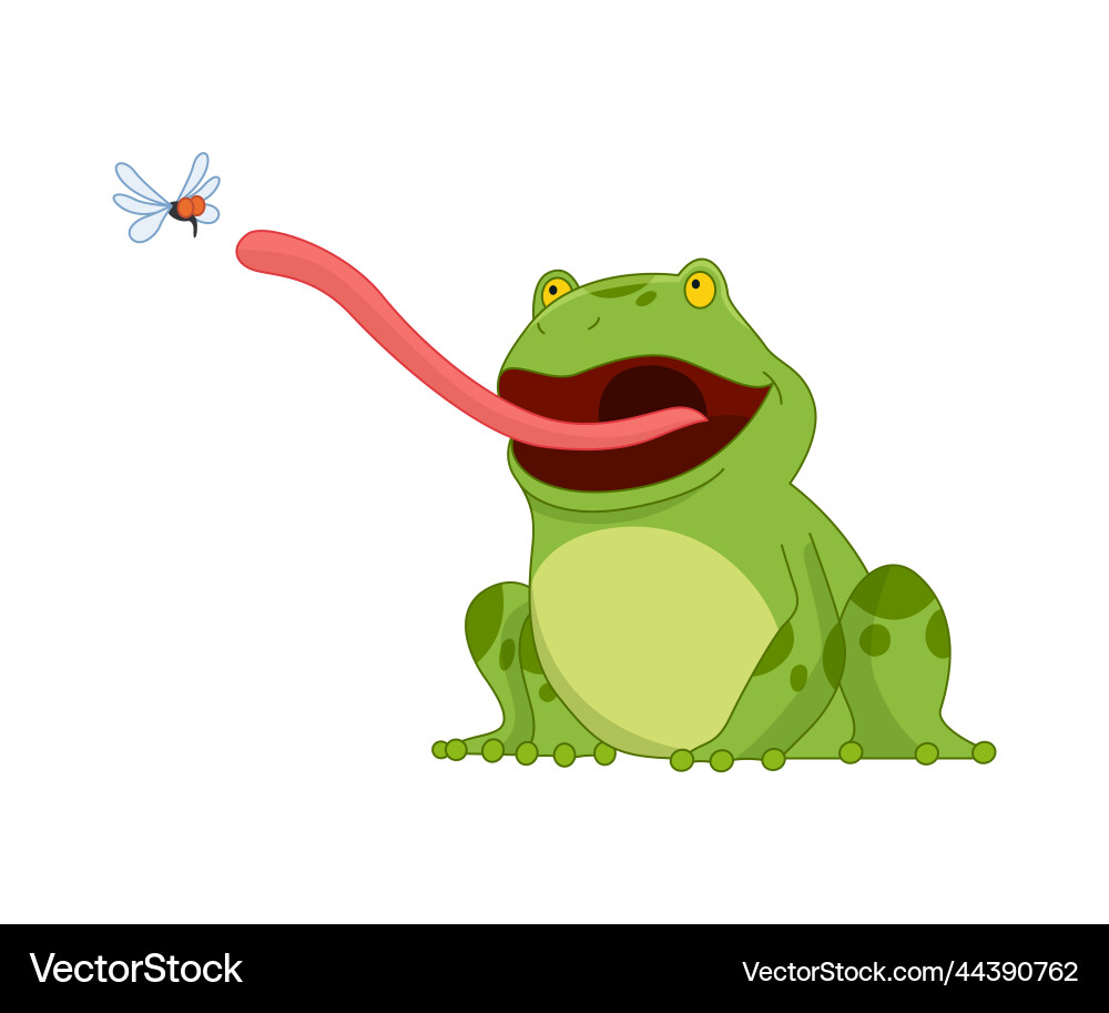 Cartoon Frösche lustige Frosch kleine Amphibien Cartoon Frösche lustige Frosch kleine Amphibien vektorbild