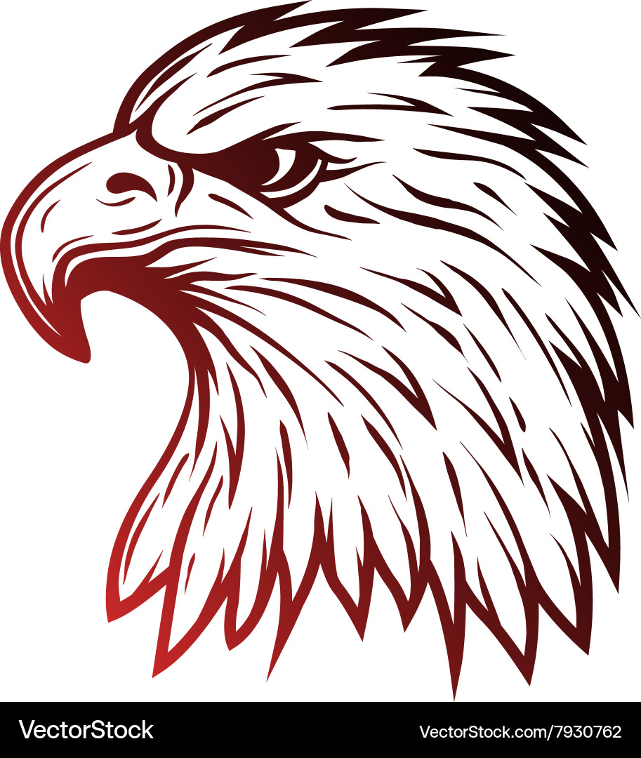 Eagle head in profile line art style vector image