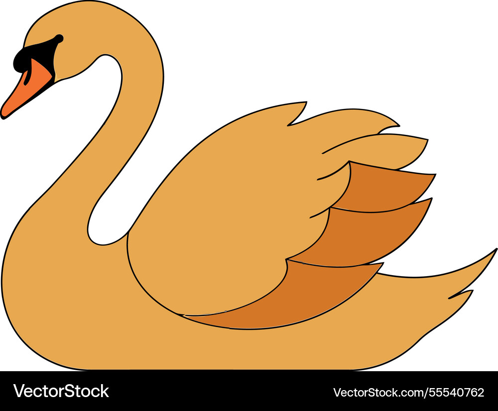 Elegant swan gracefully transitioning from Elegant swan gracefully transitioning from Vector Image