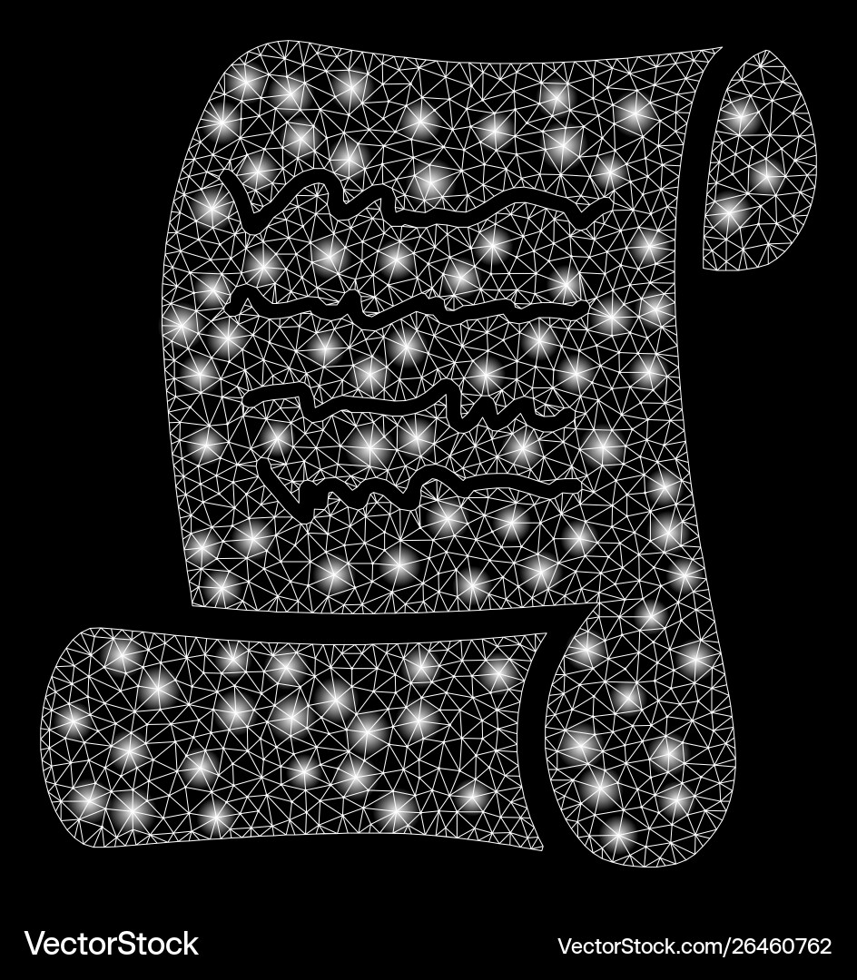 Flare mesh carcass script roll with spots vector image