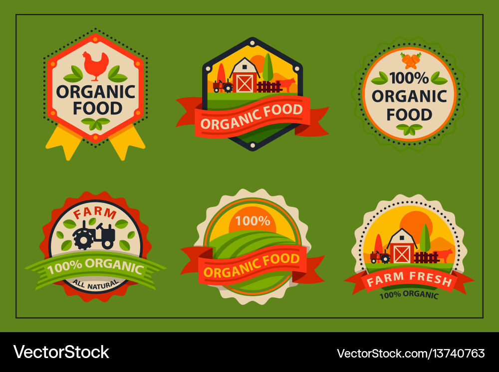 Flat style of bio organic eco healthy food label Flat style of bio organic eco healthy food label vector image