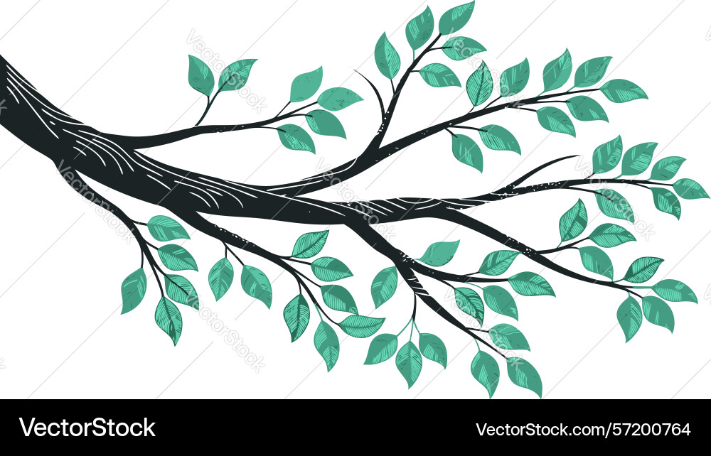 Bare tree branch with sparse leaves Vector Image