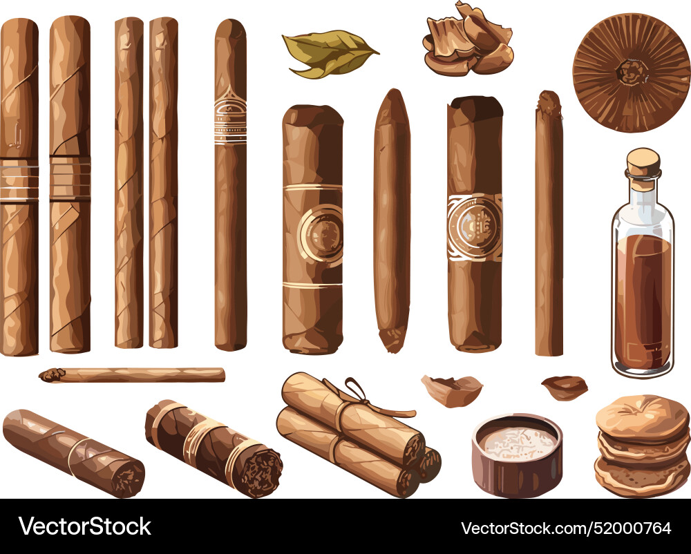 Cigar set tobacco collection rolled cigars Vector Image
