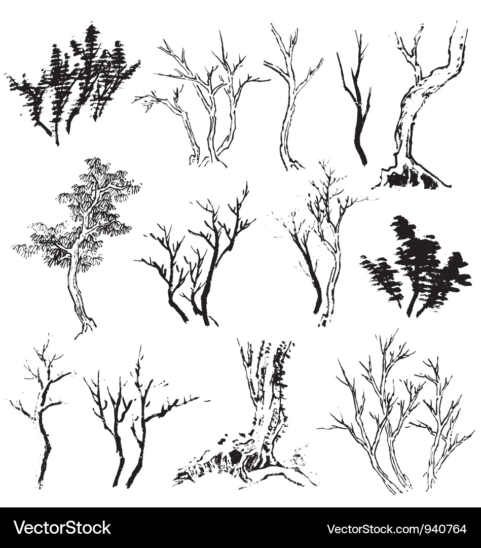 Tree Sketches - Various Styles vector image