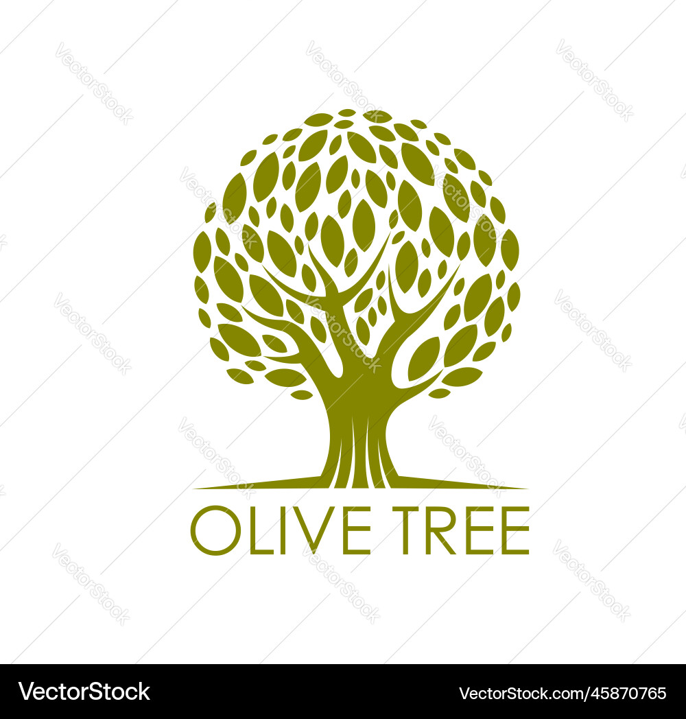 Olivenöl Naturprodukt Symbol oder Symbol Olivenöl Naturprodukt Symbol oder Symbol vektorbild