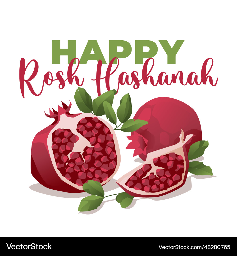 Rosh hashanah greeting card pomegranate fruit Rosh hashanah greeting card pomegranate fruit vector image