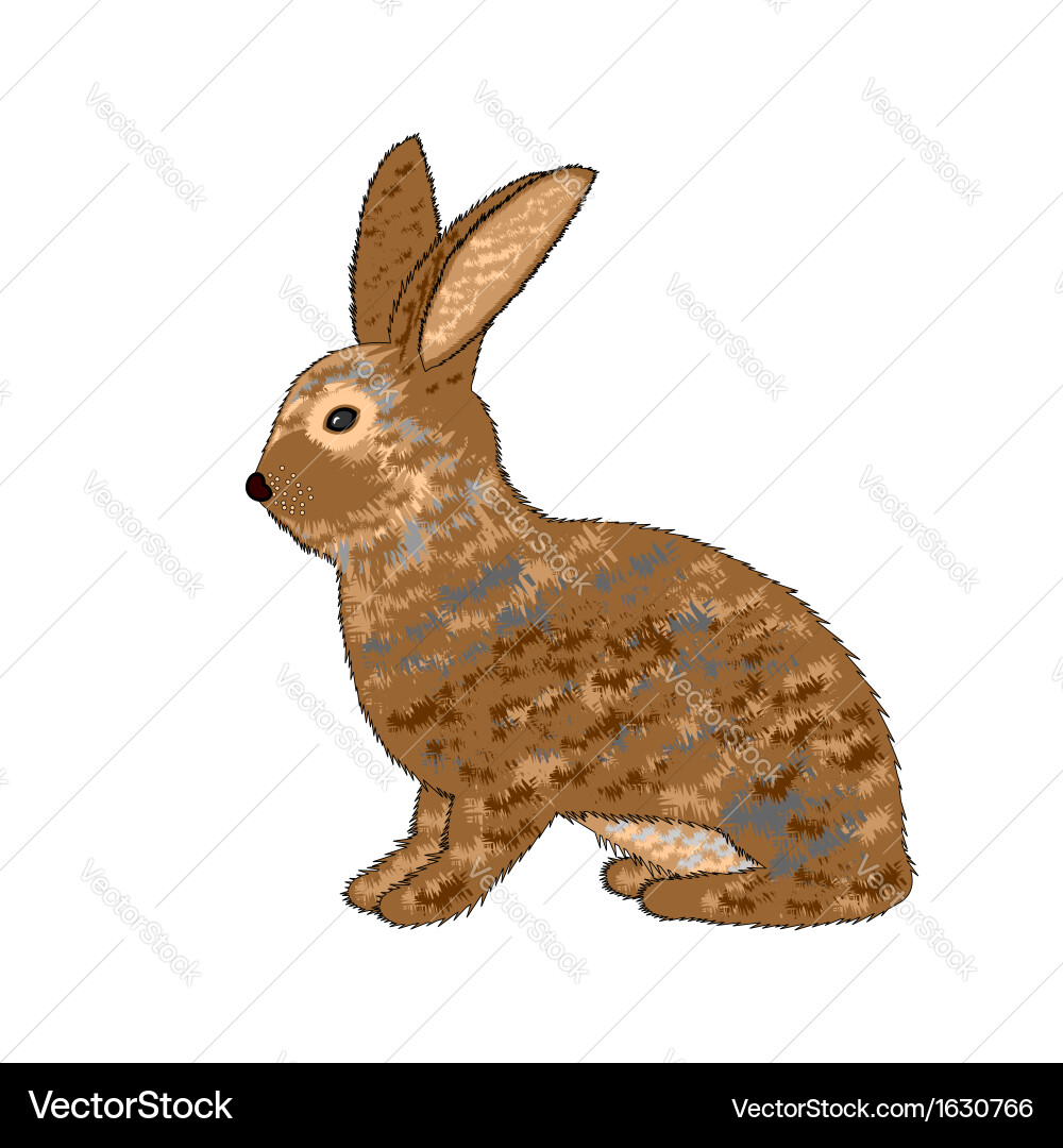 A sideview of rabbit on white background vector image