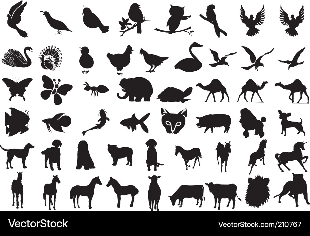 Animal Silhouettes Collection vector image