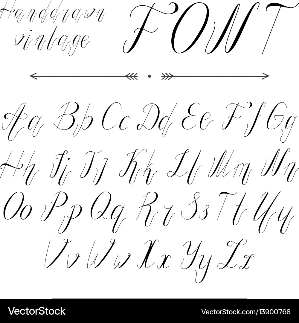 Elegant Handwritten Script Font vector image