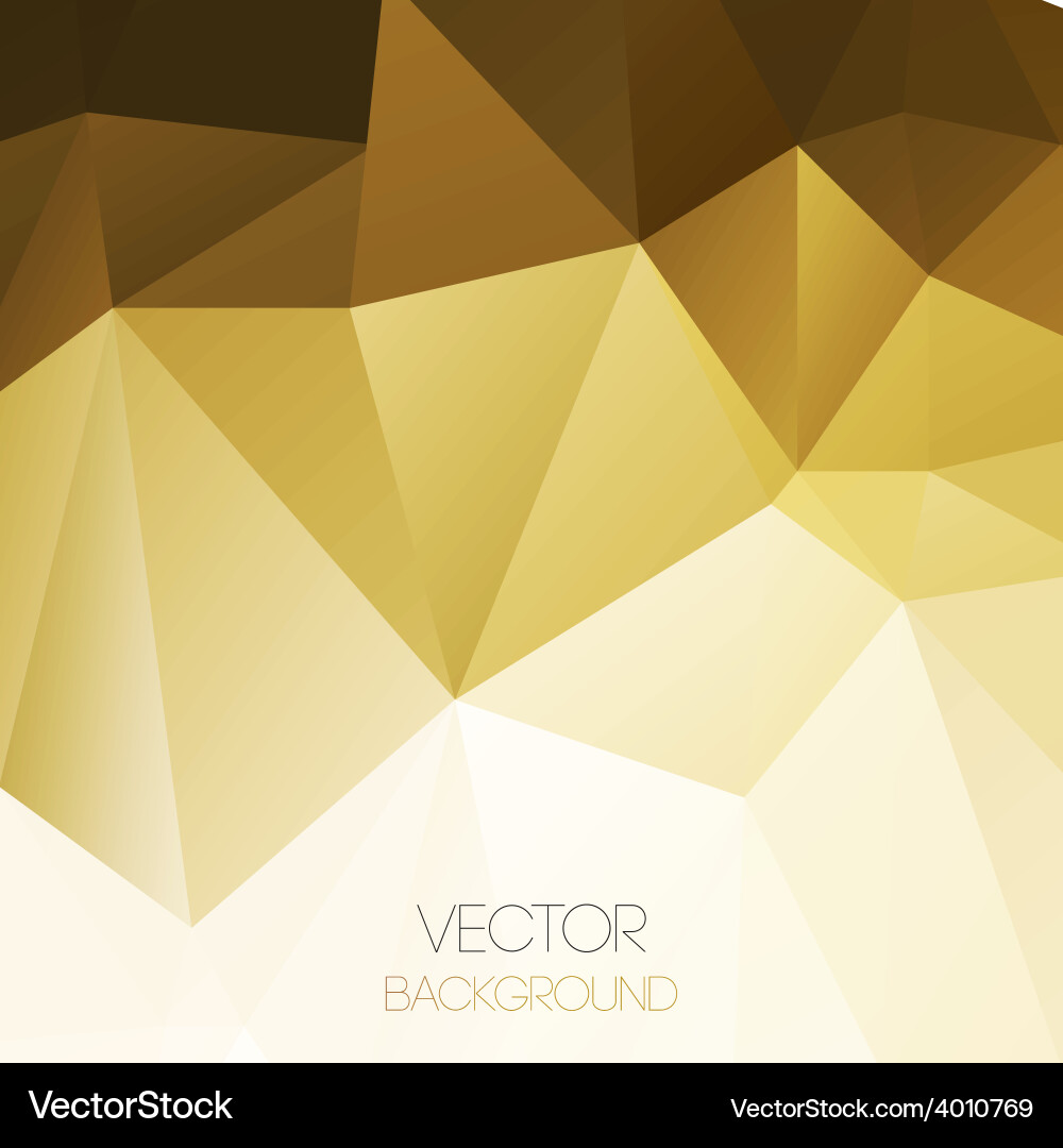 Abstract geometric background with triangle Vector Image