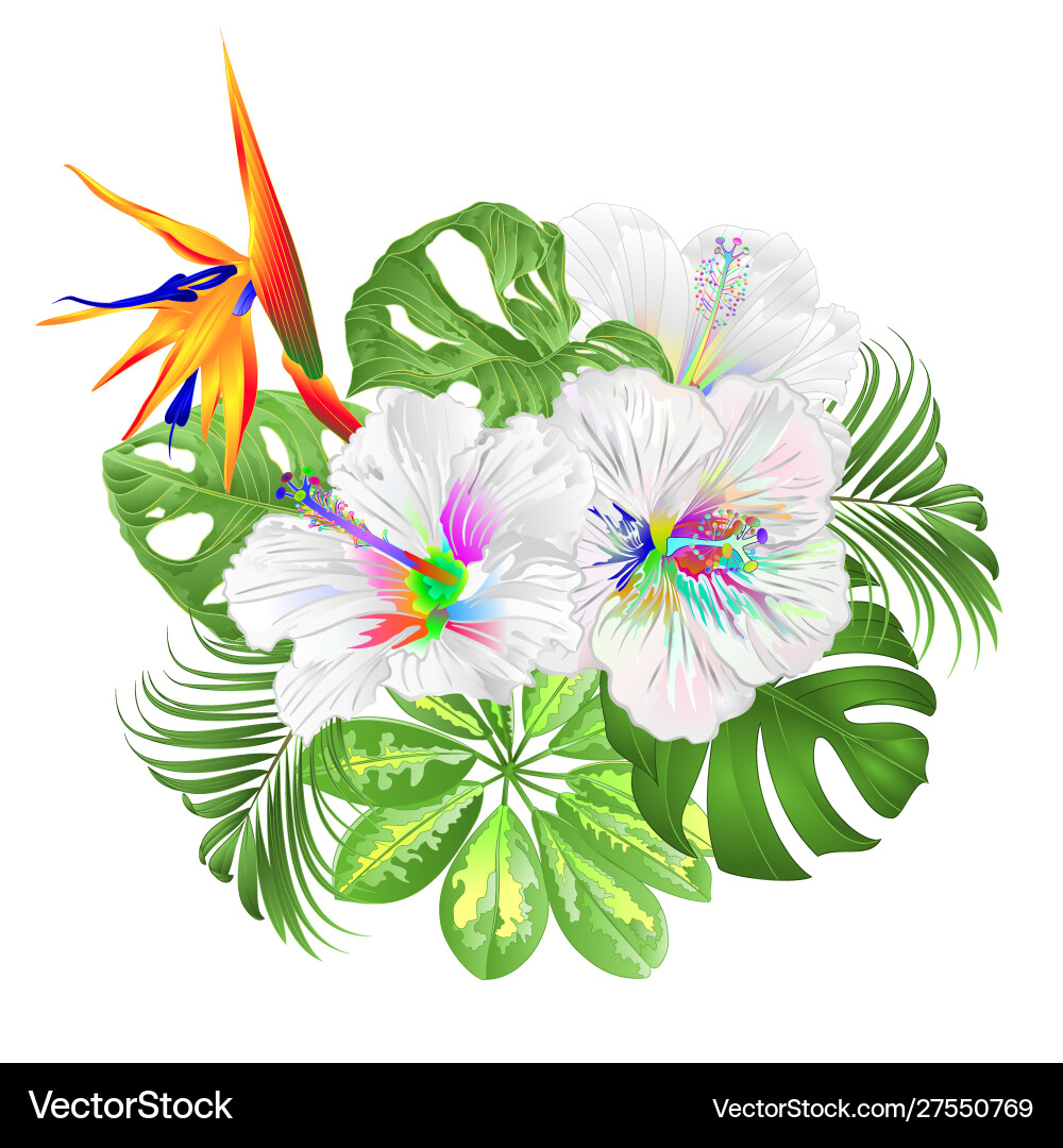 Bouquet with tropical flowers floral arrangement Bouquet with tropical flowers floral arrangement vector image