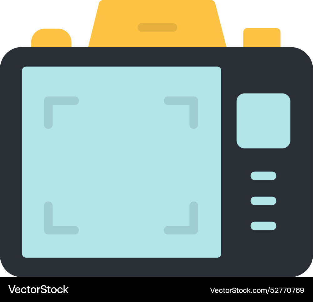 Dslr camera display icon design Vector Image