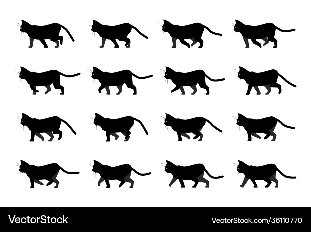 Cat Walking Animation Sequence vector image