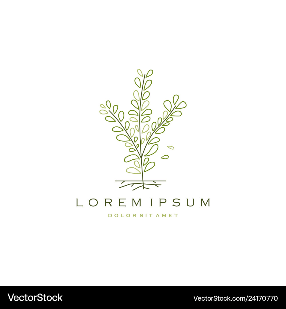 Elegant Tree Branch Leaf Logo vector image
