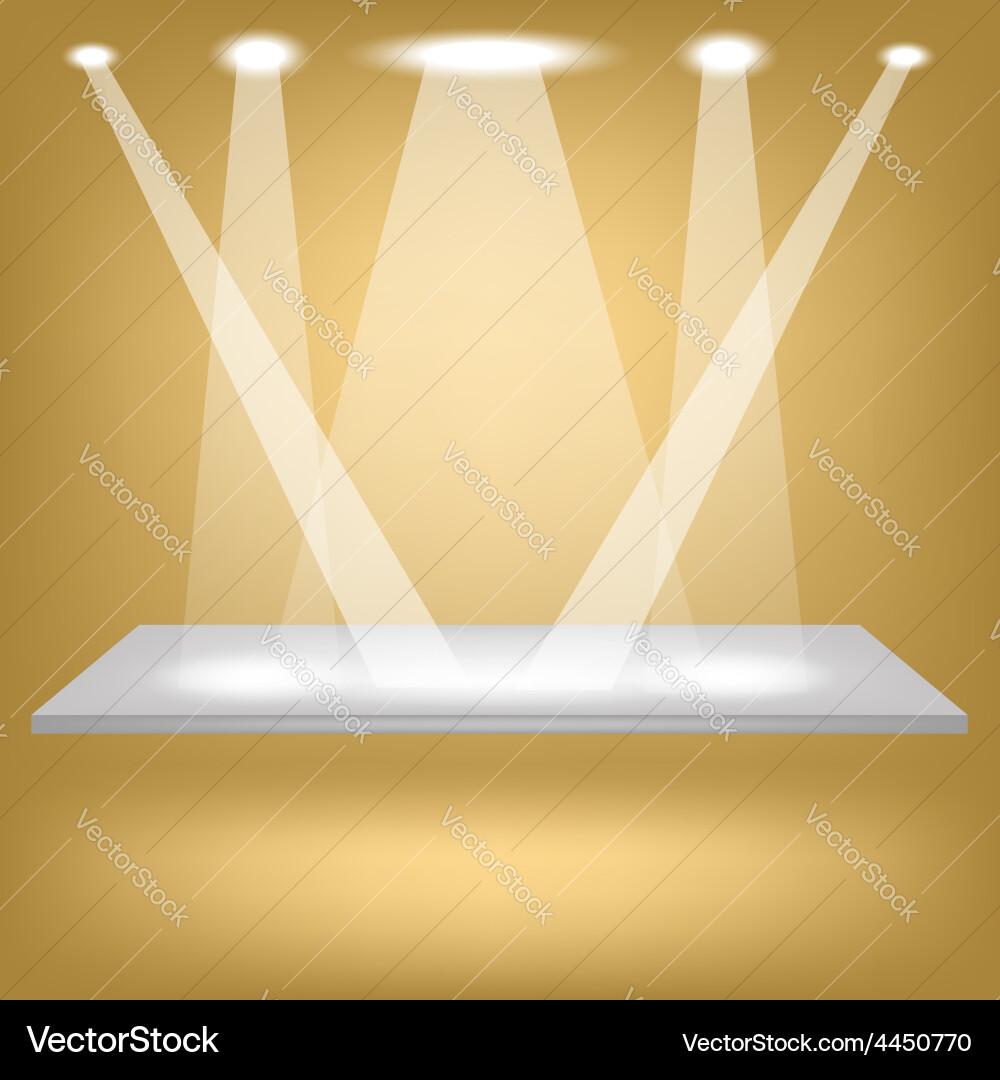 Empty shelf vector image