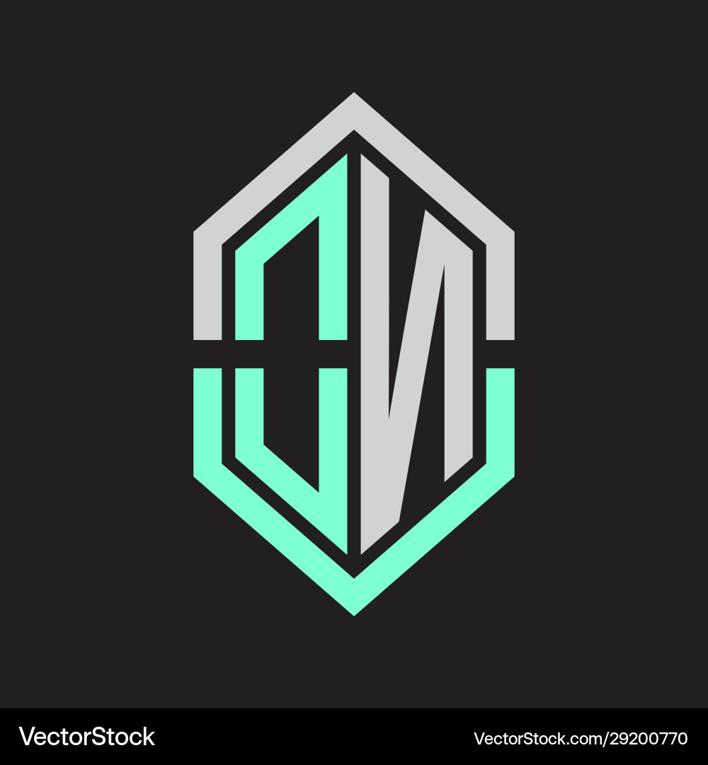 On logo monogram with hexagon shape and outline vector image