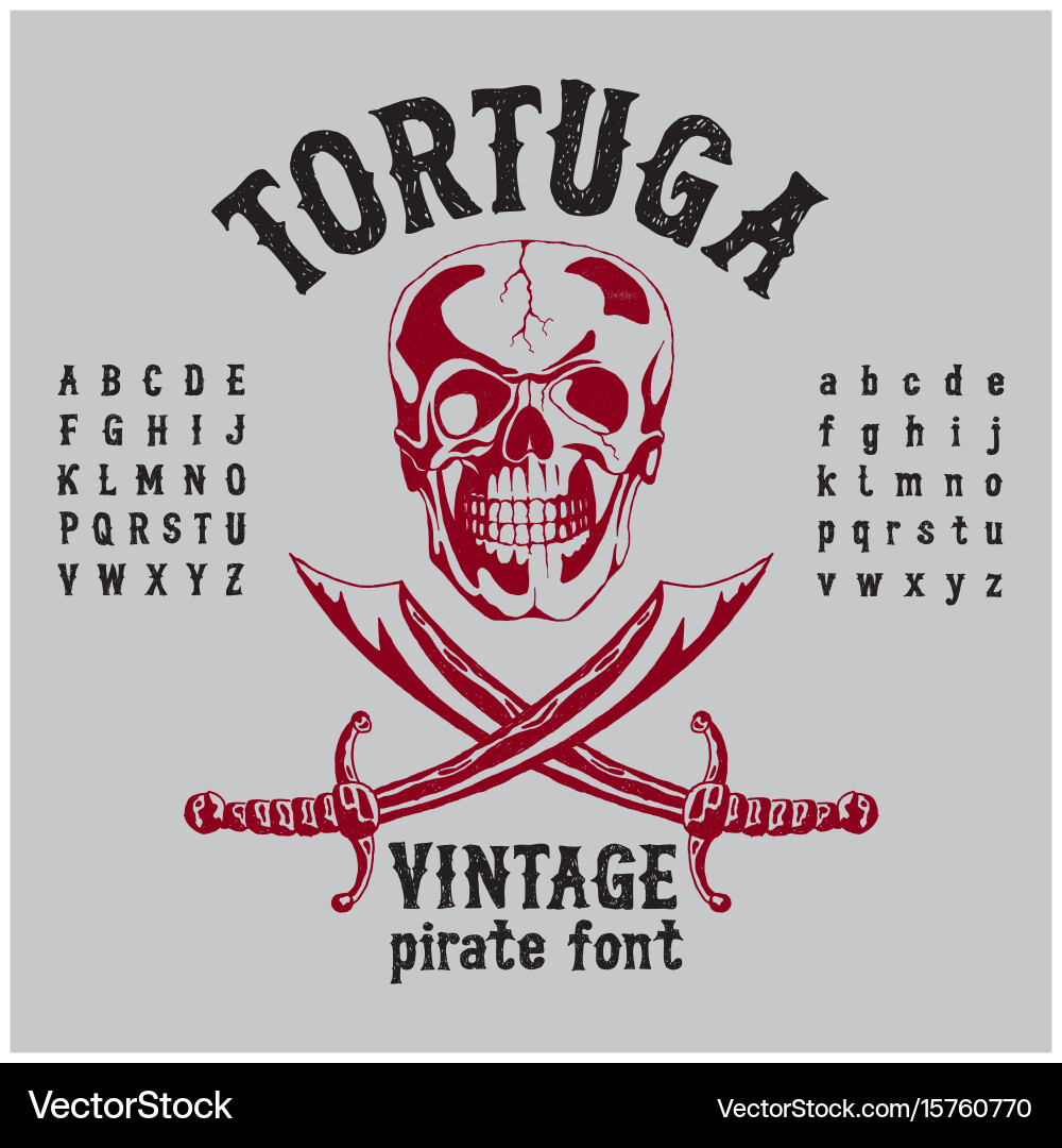 Vintage Pirate Skull Poster Vector Image