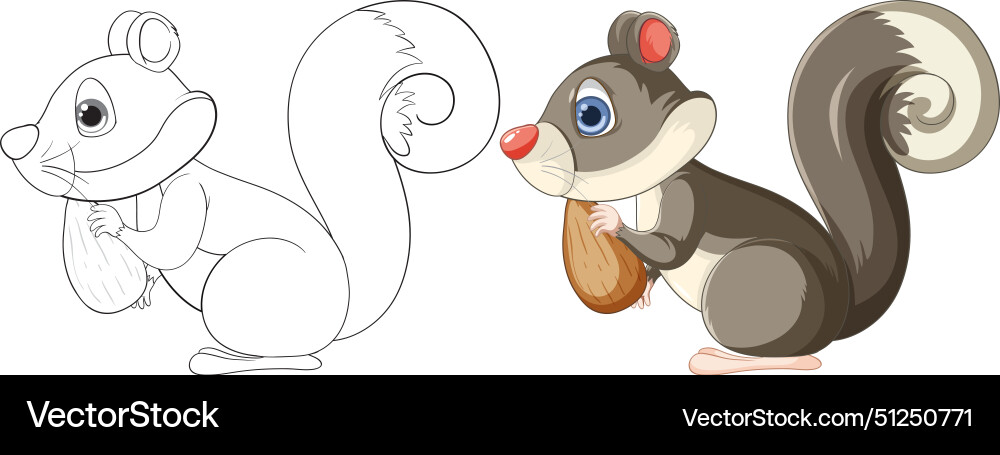 A squirrel with an acorn Vector Image