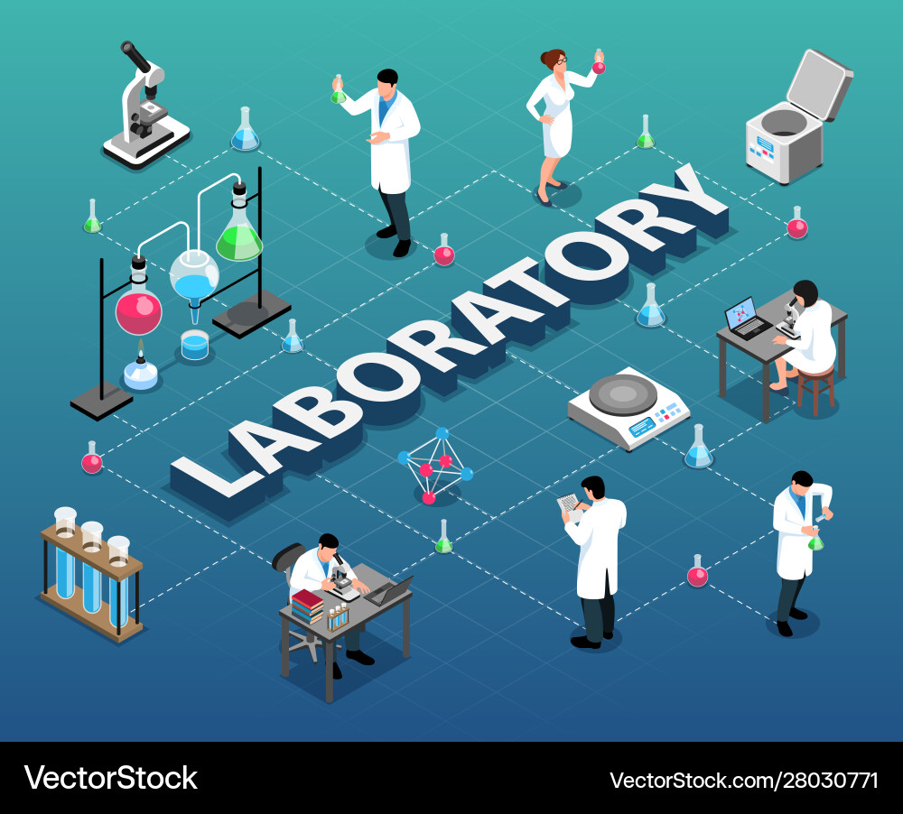 Isometric laboratory flowchart composition vector image