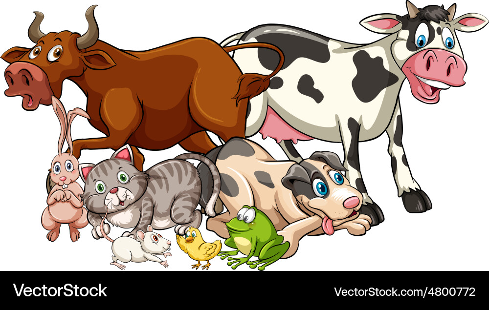 Animal Royalty Free Vector Image - VectorStock