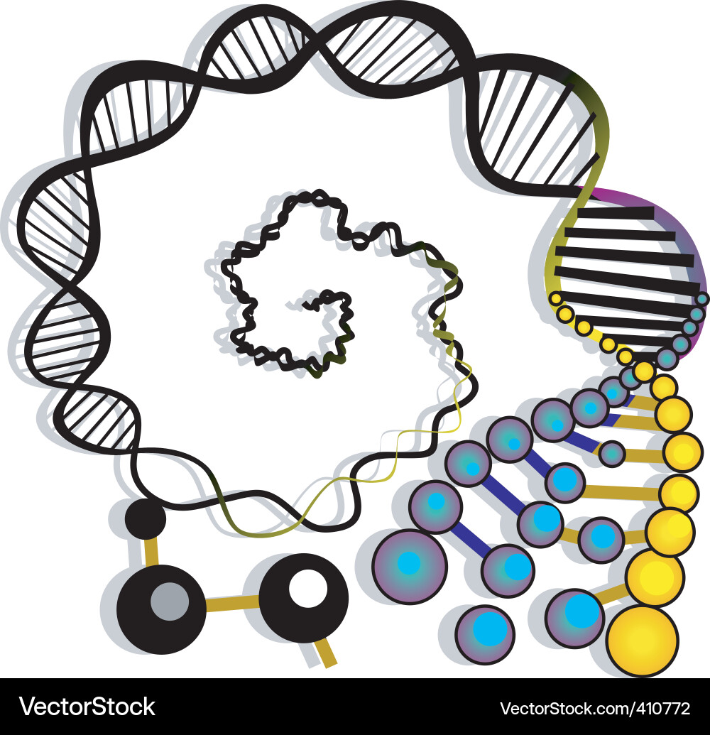 DNA Helix Molekulares Modell Vektorbild