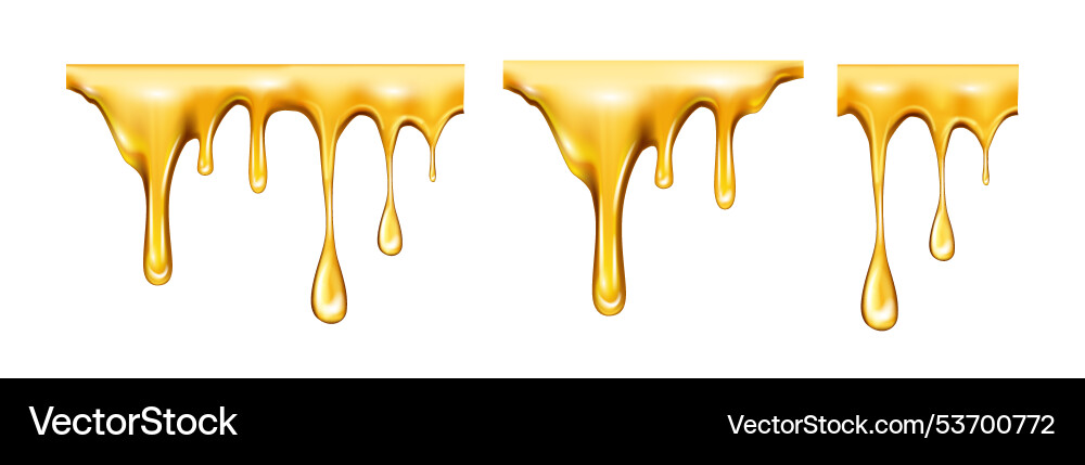 Honey liquid tasty and sweet nectar dripping Honey liquid tasty and sweet nectar dripping vector image