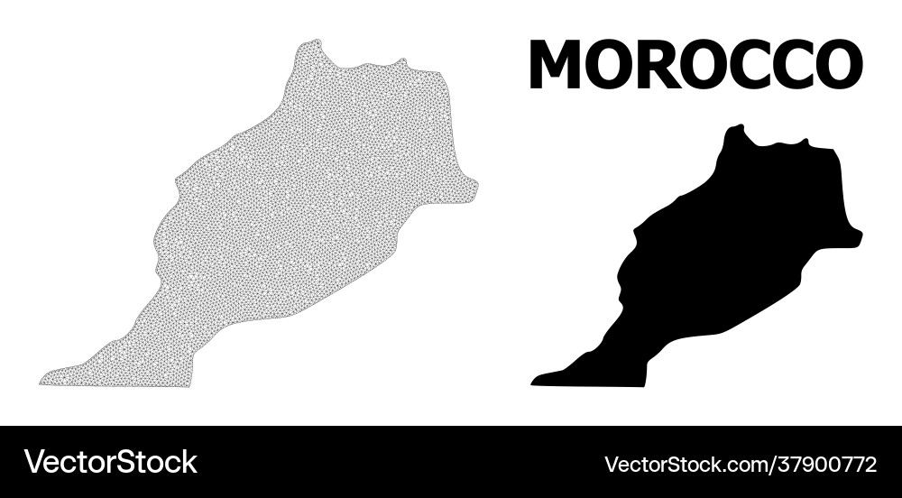 Polygonal 2d mesh high resolution map Vector Image