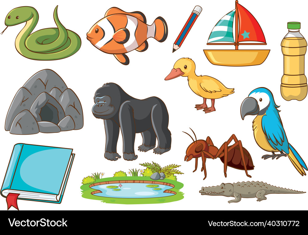 Set of various animals and objects vector image