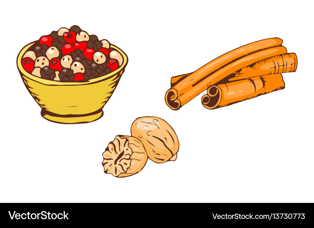 Colorful spices food herb cooking powder seasoning Colorful spices food herb cooking powder seasoning vector image
