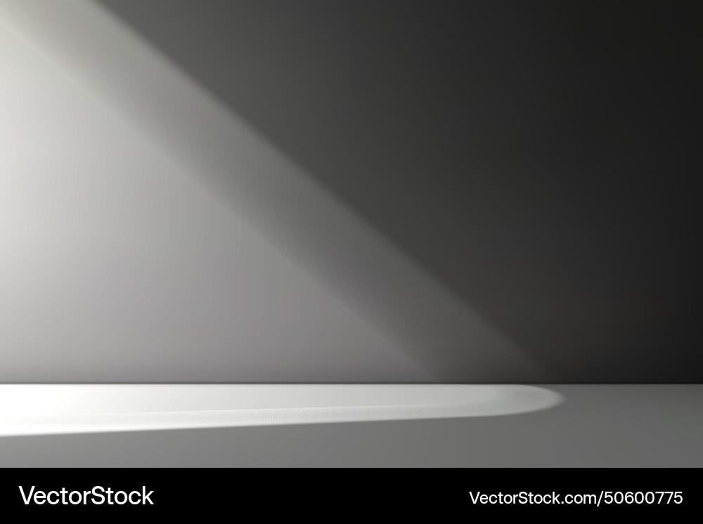 Empty studio room background with light shadow Empty studio room background with light shadow vector image
