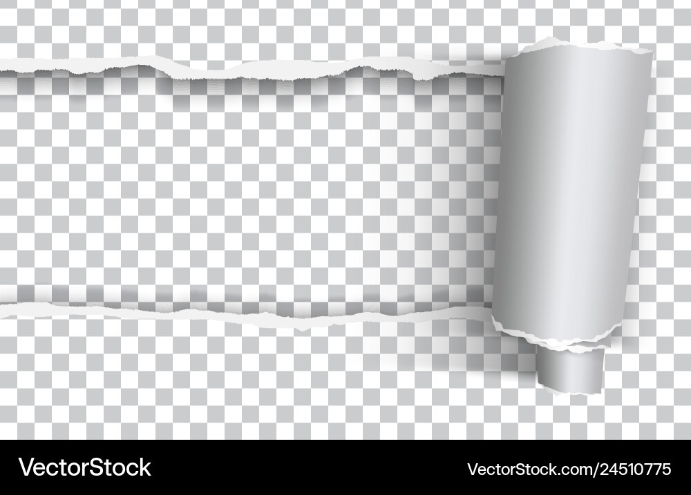 Realistic torn paper with rolled edge Royalty Free Vector