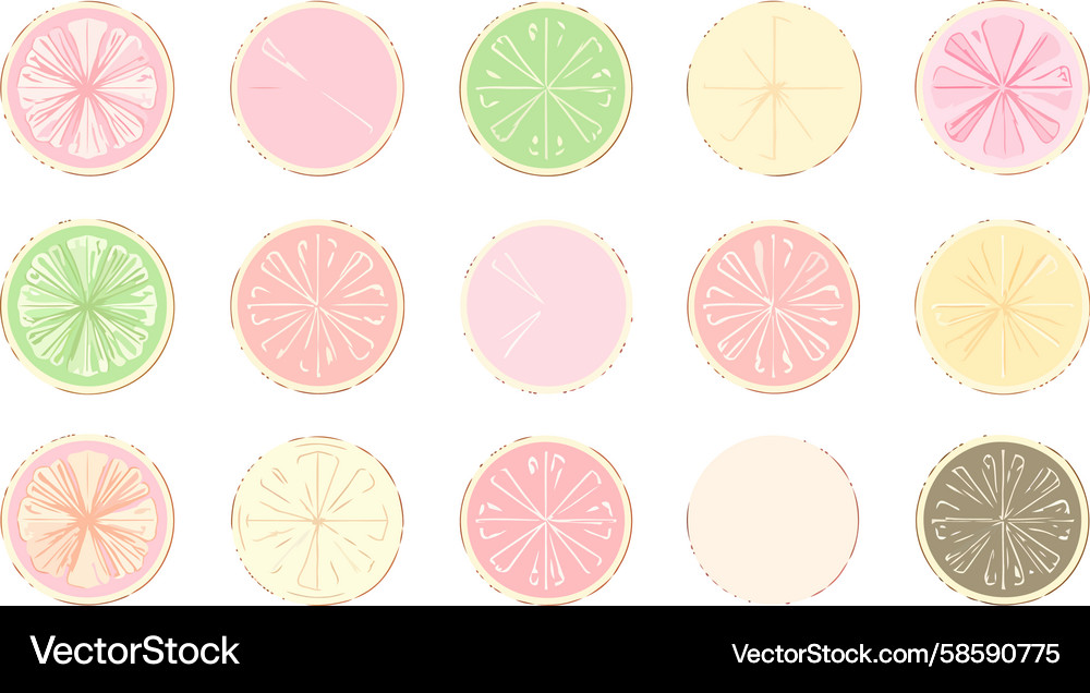 Stylized Citrus Slice Array Vector Image