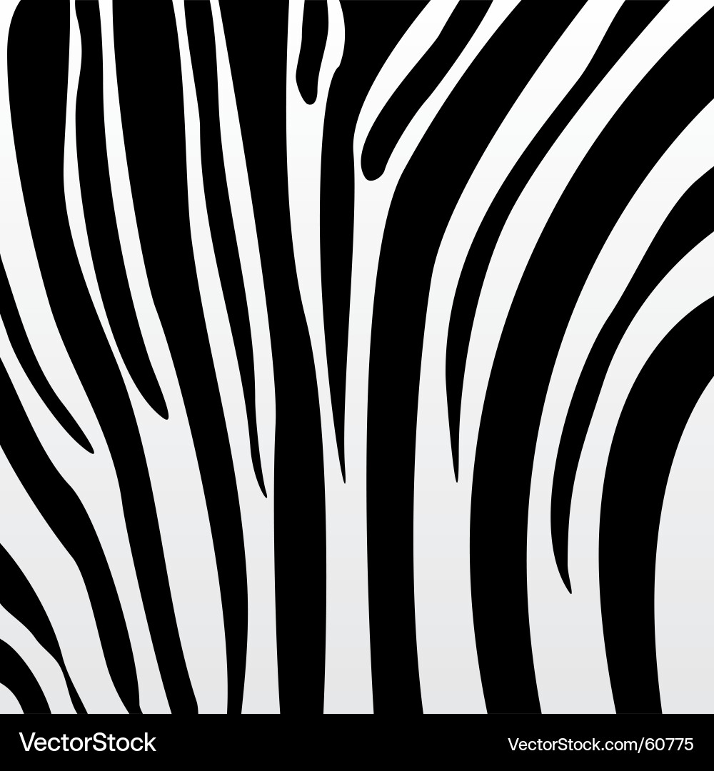Zebra Striped Pattern vector image