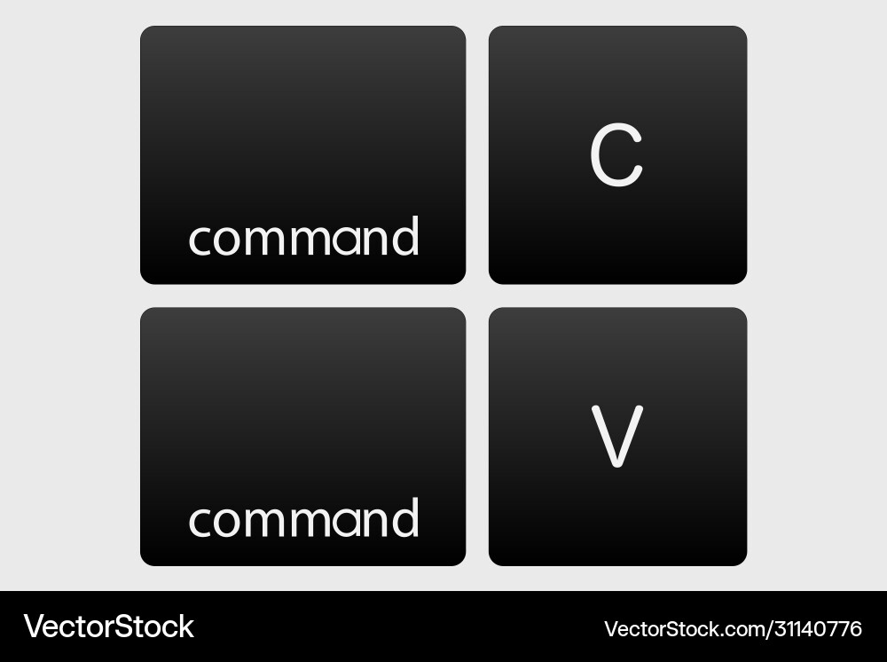 Copy paste button control ctrl c v vector image