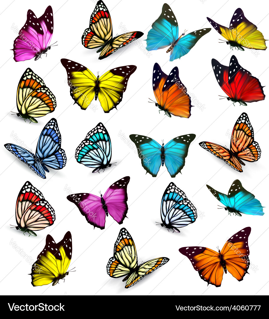 Collection of Vibrant Butterflies Vector Image