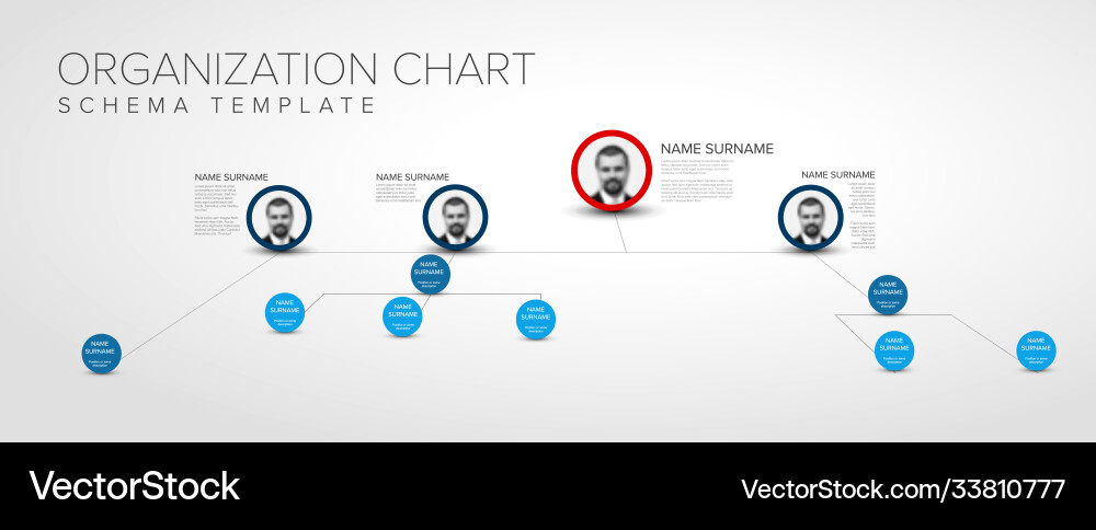 Minimalist 3d hierarchy chart schema with photos Minimalist 3d hierarchy chart schema with photos Vector Image