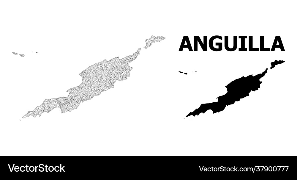Polygonal network mesh high resolution map Polygonal network mesh high resolution map vector image