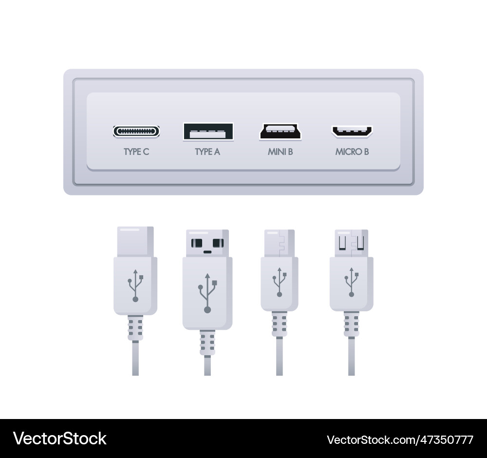 Usb socket plug types include type a c mini Usb socket plug types include type a c mini vector image