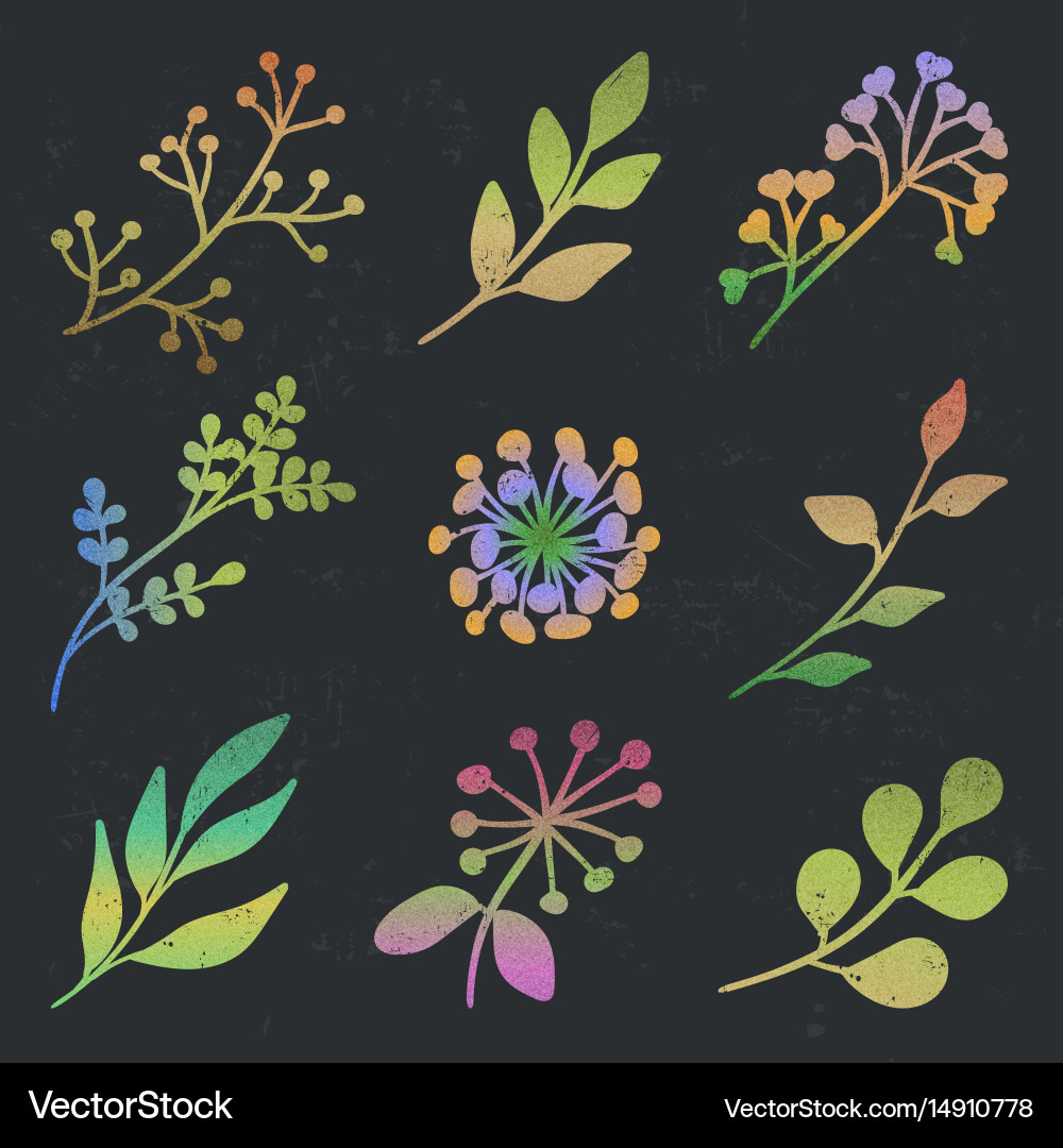 Set of color branch Vector Image