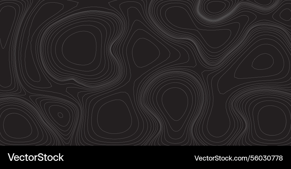 Topographic map pattern background vector image