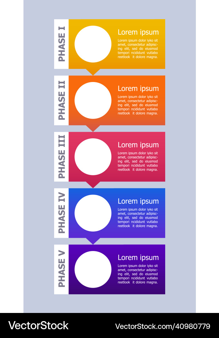 Diagnostic trial phases infographic chart design Vector Image