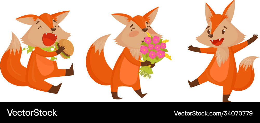 Funny orange fox holding flower bouquet and eating vector image