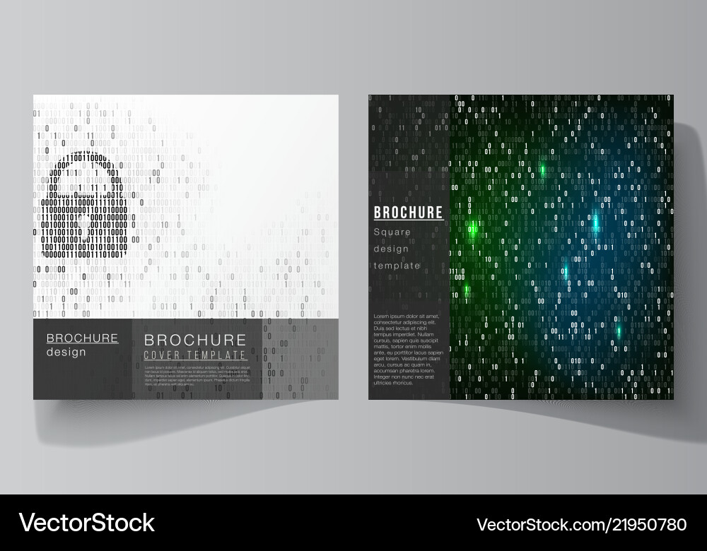 Binary Code Brochure Templates vector image
