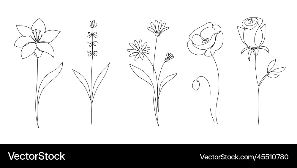 Floral Outline Blumenset Vektorbild