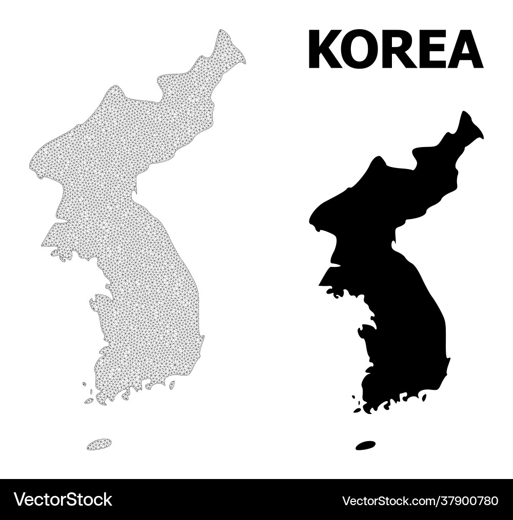 Polygonal 2d mesh high resolution map Polygonal 2d mesh high resolution map vector image