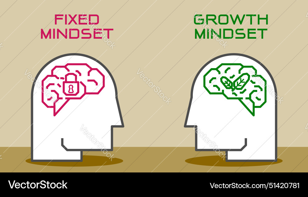 Difference between a fixed vs growth mindset vector image