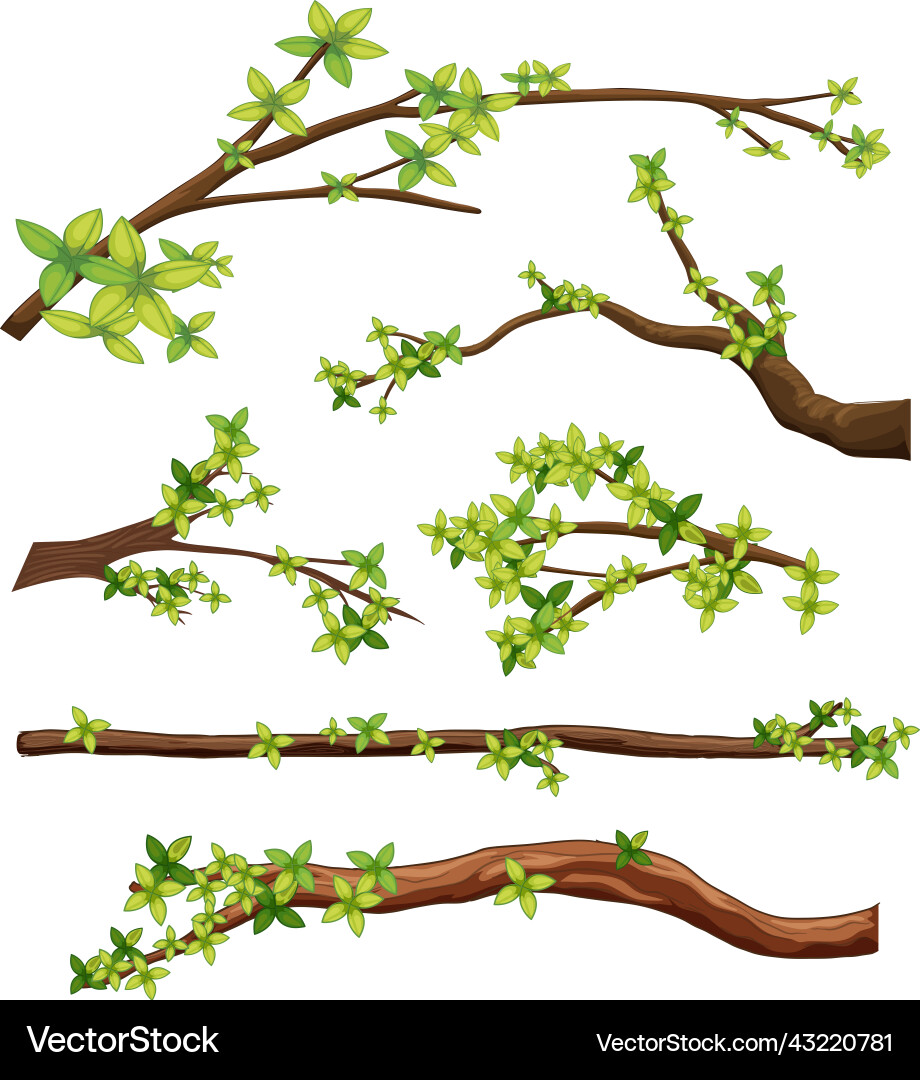 Set of different tree branches isolated Vector Image